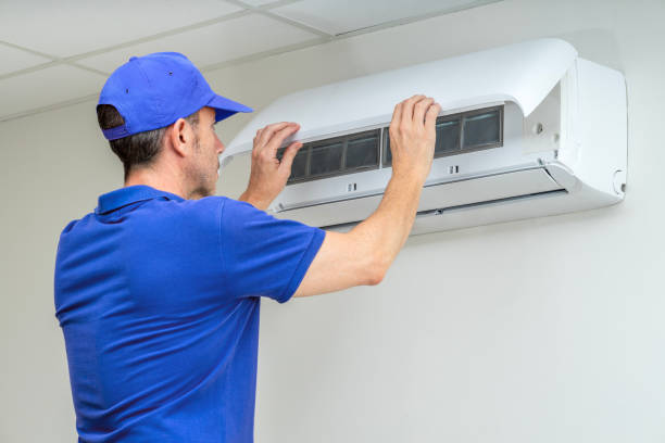 Air Duct Mold Removal in Flossmoor, IL