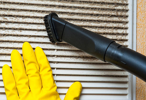 Best Home Air Vent Cleaning  in Flossmoor, IL